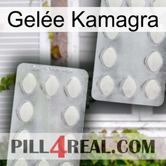 Gelée Kamagra 17